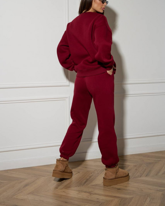 59/1 спортивний костюм на флісі з вишивкою світшот з джогерами 